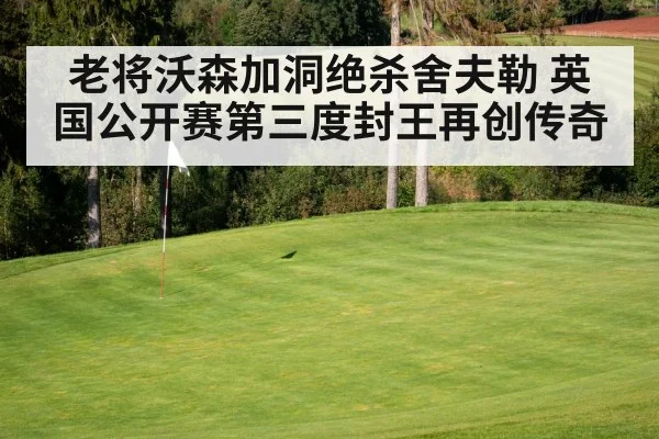 老将沃森加洞绝杀舍夫勒 英国公开赛第三度封王再创传奇