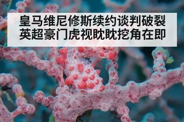 皇马维尼修斯续约谈判破裂英超豪门虎视眈眈挖角在即